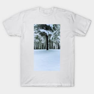 Under the Trees Cont'd T-Shirt